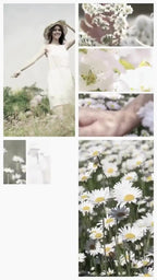 300+ CANVA VIDEO MEGA BUNDLE