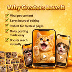 900 AI-generated viral cat reels